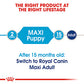 Royal Canin Size Health Maxi Breed Dry Puppy Food