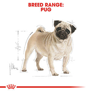 Royal Canin Breed Health Pug Dry Adult Dog Food