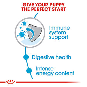 Royal Canin Mini Puppy Dry Dog Food