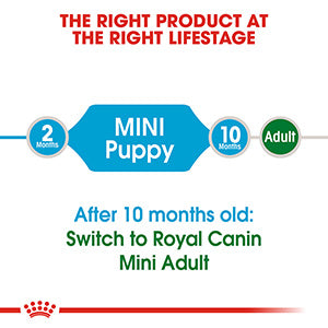 Royal Canin Mini Puppy Dry Dog Food