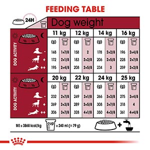 Royal Canin Size Health Medium Breed Ageing Dry 10+ Senior Dog Food