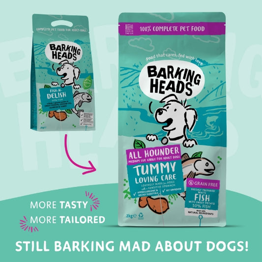 Barking Heads All Hounder Tummy Lovin Care Fish Dry Food - 2KG