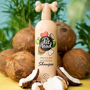 Pet Head Sensitive Soul Coconut with Marula Oil Skin Dog Shampoo 300ml