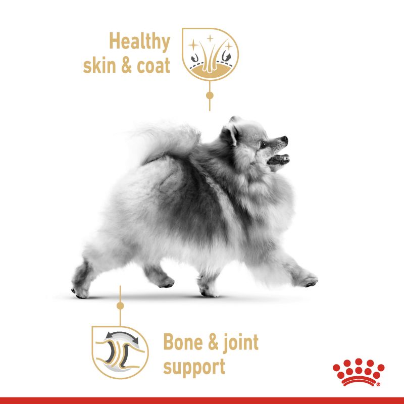 Royal Canin Pomeranian Adult Dry Dog Food 1.5kg