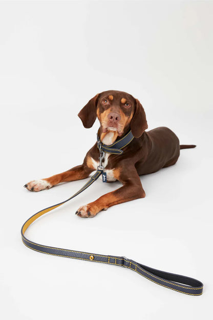 Joules Leather Dog Lead