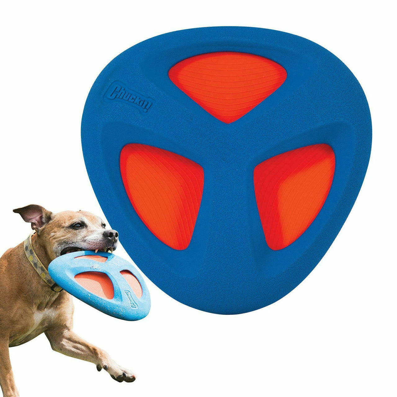 Chuckit! Fetch Flight Dog Toy Rubber Frisbee Dog To - Pets Universe