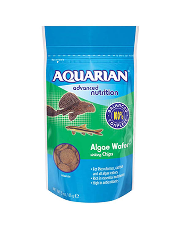 Aquarium Algae Eater Fish Food