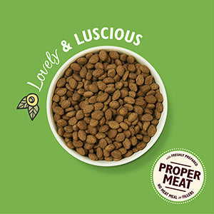 Lily's Kitchen Lamb Shepherd's Pie Dry Adult Dog Food