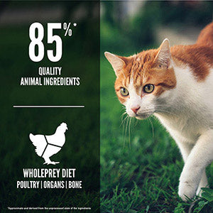 Orijen Complete Dry Adult Cat Food Weight Management Chicken Turkey & Fish