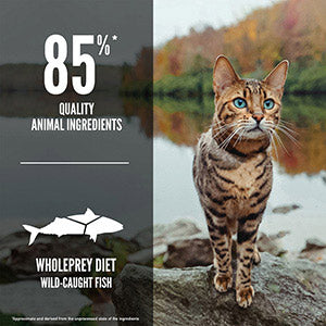 Orijen Complete Dry Adult Cat Food Six Fish Pilchard Mackerel & Hake