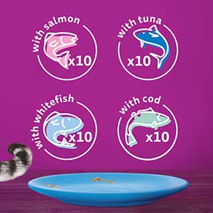 Whiskas Wet 1+ Adult Cat Food Fish Favourites in Jelly 40x85g Pouches