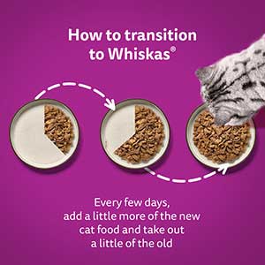 Whiskas Wet 1+ Adult Cat Food Meaty Meals in Gravy 80x85g Pouches