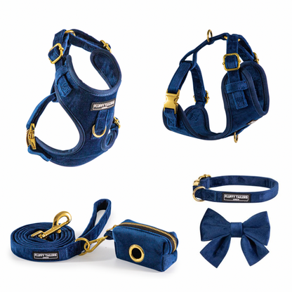 Luxury Royal Blue Velvet Set Small Dog Harness, Collar - Pets Universe