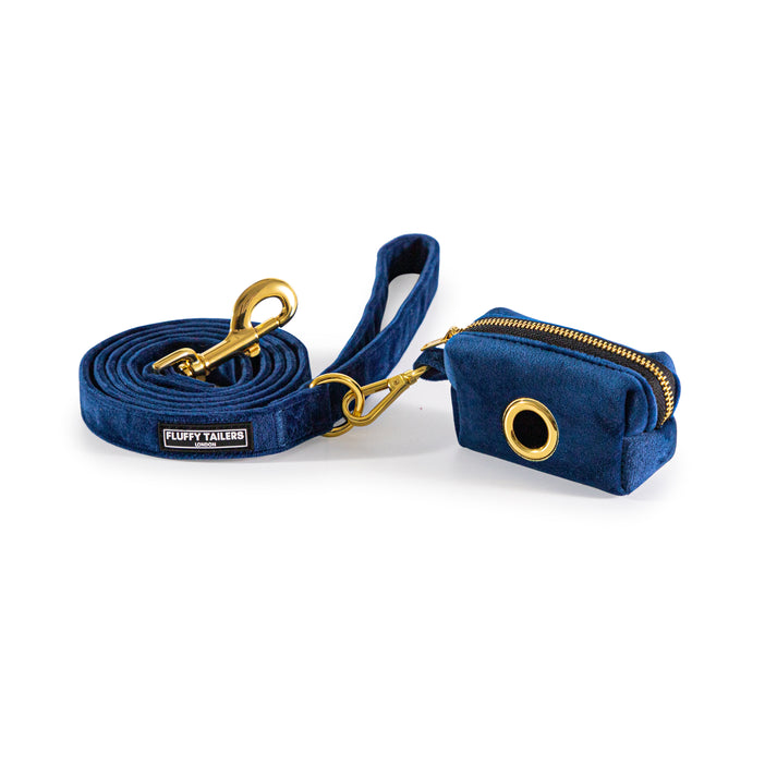 Luxury Royal Blue Velvet Set Small Dog Harness, Collar - Pets Universe