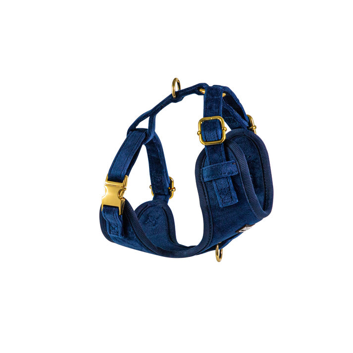 Luxury Royal Blue Velvet Set Small Dog Harness, Collar - Pets Universe