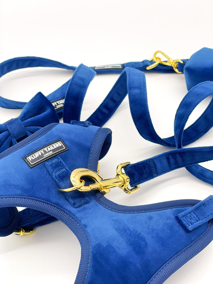 Luxury Royal Blue Velvet Set Small Dog Harness, Collar - Pets Universe